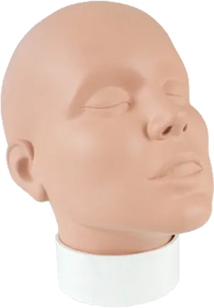 Mannequin Head Display