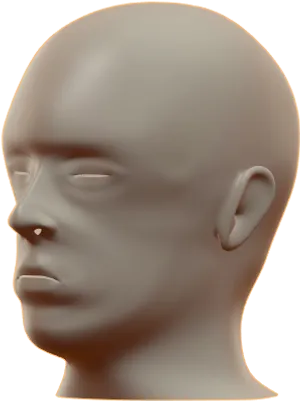 Mannequin Head Profile View