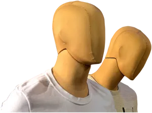 Mannequin Heads Clothed Torso