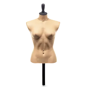 Mannequin Torso PNG 05242024