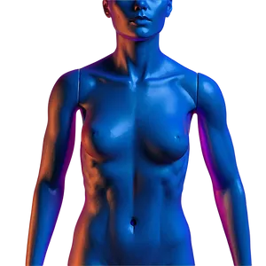 Mannequin Torso With Clothes Png 06282024 PNG image