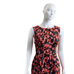 Mannequin With Dress PNG 05242024 PNG