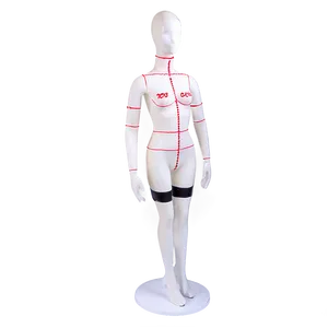 Mannequin With Measurements PNG Sfo PNG