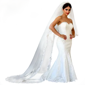 Mantilla Bridal Veil Png 06272024 PNG image