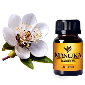 Manuka Essential Oil PNG 06292024 PNG
