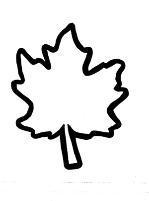 Maple Leaf Outline Clipart PNG image