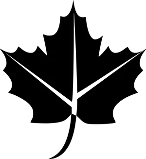 Maple Leaf Outline Graphic PNG image