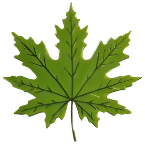 Maple Leaf Png 05212024 PNG image
