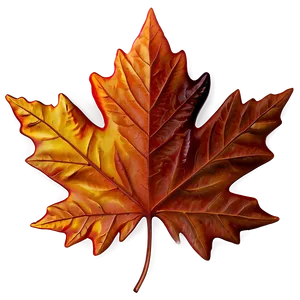 Maple Leaf PNG Jbd