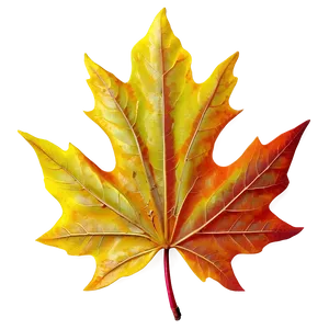 Maple Leaf Png Ker PNG image