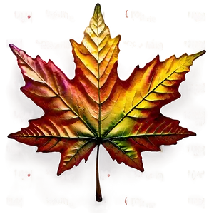 Maple Leaf PNG Tvc92