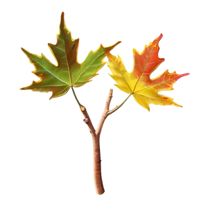 Maple Leaf PNG Weh12