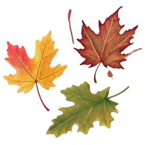 Maple Leaves Autumn Png Iqn26 PNG image