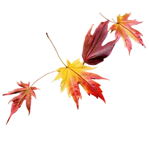 Maple Leaves Falling Png 06132024 PNG image