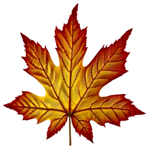 Maple Leaves PNG Bfi