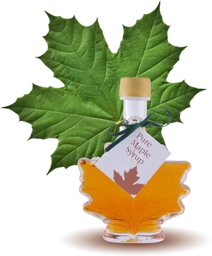 Maple Syrup Bottle Green Leaf PNG