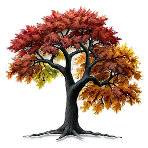 Maple Tree Autumn Splendor Png 06122024 PNG image