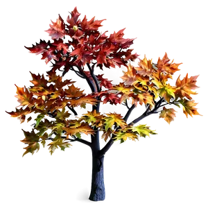 Maple Tree Design PNG Sjw PNG