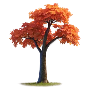 Maple Tree Glowing In Sunset Png 06122024 PNG image