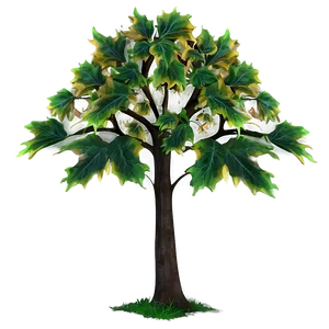 Maple Tree With Falling Leaves Png 53 PNG image