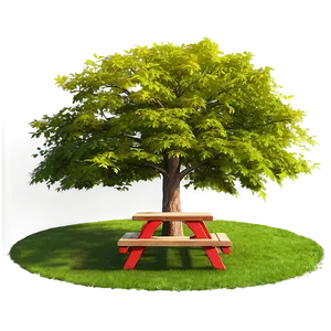 Maple Tree With Picnic Area PNG Idx