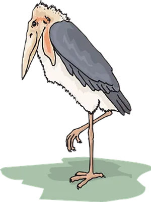 Marabou Stork Illustration
