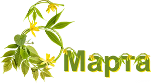 March Floral Design PNG image