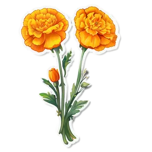 Marigold Sticker Illustration PNG 06272024 PNG