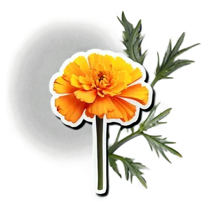 Marigold Sticker Illustration PNG Kbe PNG