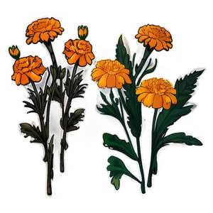 Marigold Sticker Illustration PNG Vxg PNG