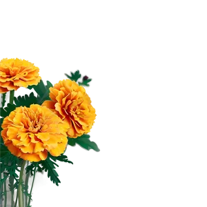 Marigold Sunshine Bouquet PNG 10