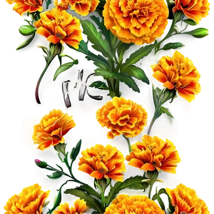 Marigolds And Butterflies PNG 06132024