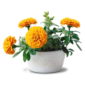 Marigolds And Greenery PNG Mkr