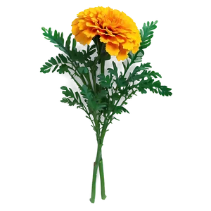 Marigolds Floral Arrangement PNG 06132024 PNG