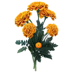 Marigolds Floral Arrangement PNG Tik PNG