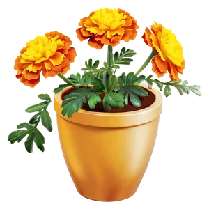 Marigolds In Pot PNG 06132024