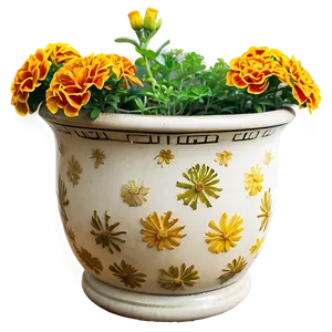 Marigolds In Pot PNG 84 PNG