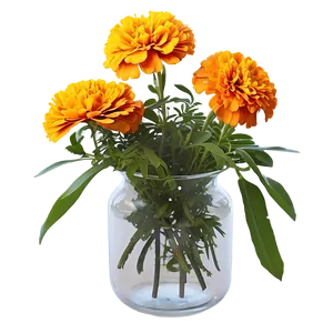 Marigolds In Vase Png Nja95 PNG image