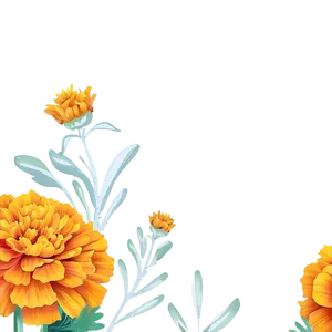 Marigolds Invitation Design PNG 75 PNG