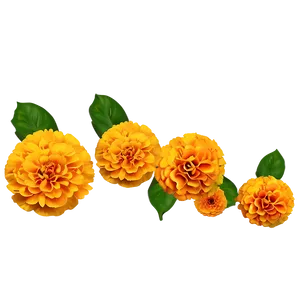 Marigolds Wedding Decor PNG Bsm