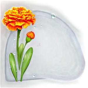Marigolds With Dew Drops PNG Esp