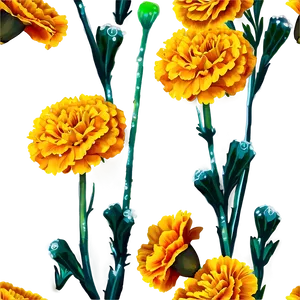 Marigolds With Morning Dew PNG Cvk13 PNG