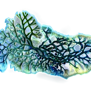 Marine Algae Artwork Png Faf PNG image