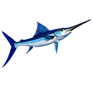 Marlin A