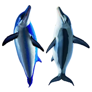 Marlin And Dolphin PNG Mbu