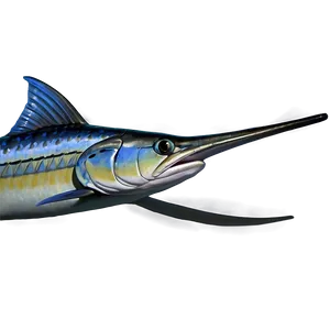 Marlin B