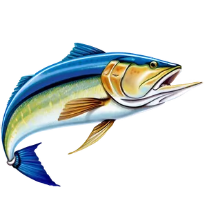 Marlin Catch Of The Day PNG Qbl