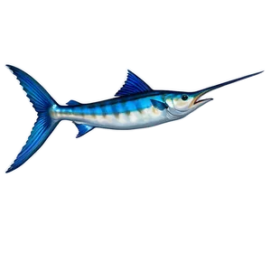 Marlin Fish Tail PNG 56