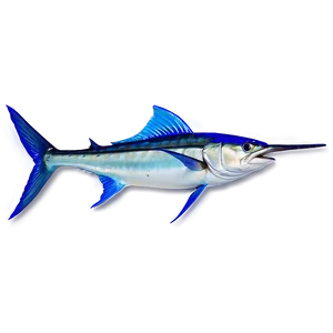 Marlin Fishing Adventure PNG Scf