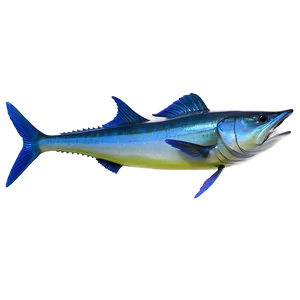 Marlin Fishing Gear PNG Suo33 PNG